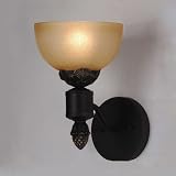 6.5W Savannah 1 Lt Sconce