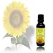 Jane Carter Solution - Hair Nourishing Serum, 1 fl oz liquid
