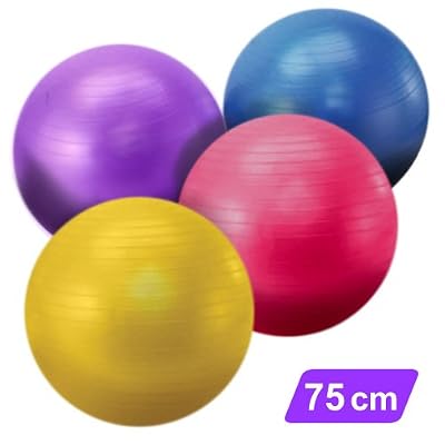 YogaAccessories (TM) 75 cm Yoga Balance Ball with Pump