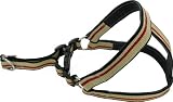 Kakadu Pet Angus Padded Step In Dog Harness, 1 1/2" x 32"-42", Fawn Kakadu Pet Angus Padded Step In Dog Harness, 1 1/2" x 32"-42", Fawn