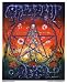 Grateful Dead - Liquid Underwater Skeleton - Sticker / Decal