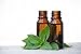 100%-Pure Peppermint (mentha arvenisis) Essential Oil by AROMATA -- Enjoy the research-proven, soothing, therapeutic health benefits of this premium-quality, undiluted, therapeutic-grade peppermint oil and buy with confidence thanks to our 100% money-back guarantee. (5ml)