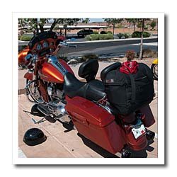 A Helmet on The Ground and a Back Pack on A Burnt Orange Harley Davidson in Utahs Dixie - 10x10 Iron On Heat Transfer For White Material