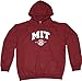 MIT Hoodie Massachusetts Institute of Technology Hoodie L