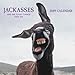 Jackasses 2009 Wall Calendar 12 X 12