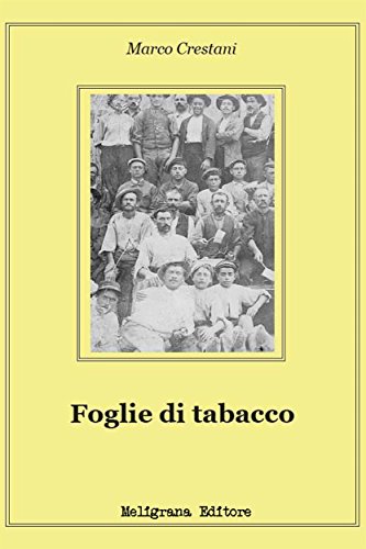 Foglie di tabacco (Italian Edition)