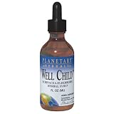 Planetary Formulas Well Child, Echinacea-Elderberry Syrup, 8 fl oz (236.56 ml)