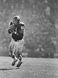 Linebacker for the Bears Dick Butkus Premium Photographic Poster Print by Bill Eppridge, 18x24