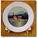 CHINESE DRAGON - 8 Inch Porcelain Plate