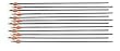 12 Gold Tip Trophy Hunter HP Arrows