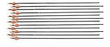 12 Gold Tip Trophy Hunter HP Arrows
