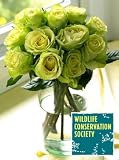 Wildlife Conservation Society Roses, Eco-Friendly - Veriflora Certified, Chartreuse Rose Bouquet