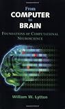 From Computer to Brain