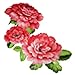GGSELL Extra large size A4 size 8.3 x 11.7 inches waterproof peony temporary tattoos