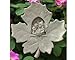 Leaf Fairies Plaque
