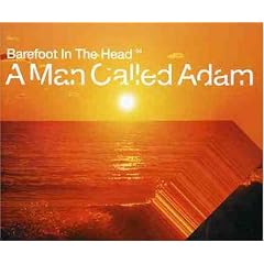 Barefoot in the Head