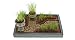 Table Top Garden