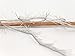 Eyelash Yarn 50 Gram Ice 22794