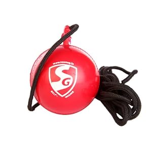 Cricke Ball