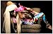 Lady Gaga - Wild Animal - 11x17 Poster