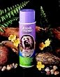 Fesh Essence Colonge - Long Lasting