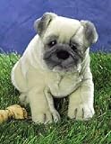 Plush Stafford Pug 11