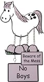 Pony fun door plaque