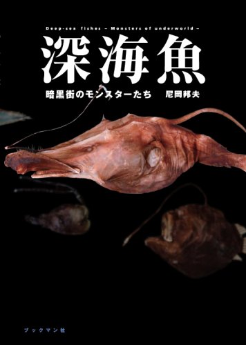 深海魚 暗黒街のモンスターたち