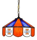 14 Swag Hanging Lamp Light University of Illinois Fighting Illini - Free Shipping