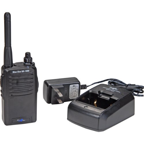 Blue Star LLC BR1000 4 Watt 16 Channel Programmable 
