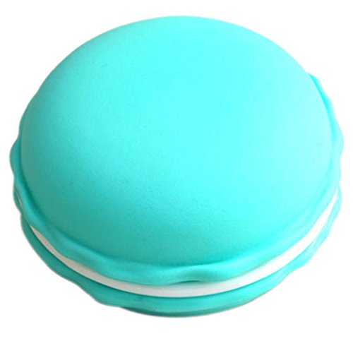 Generic Macarons Earrings Bracelets Big Storage Box Case Carrying Pouch (Sky Blue)