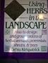 Using Herbs in the Landscape