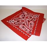Cowboy Paisley Cloth Napkins, Set of 6 