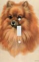 Pomeranian Decorative Switchplate Cover