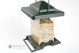 41oKNWQn6qL. SL160  Buy Squirrel Proof Feeders Now
