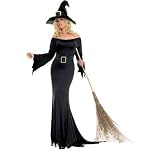  : Sexy Cauldron Witch Costume WOW Includes Hat (Broom not included though)