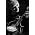 Thumbnail image of Levon Helm