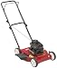 Outdoor Living : Rally 20-Inch Gas Powered Lawn Mower (Non-CARB Compliant) #RA300N20S