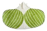 Cuddledry Cuddlebug Organic Toddler Towel (Green)