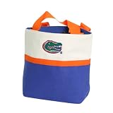 Florida Gators Small Tote Bag (Measures 9" x 8" x 6")