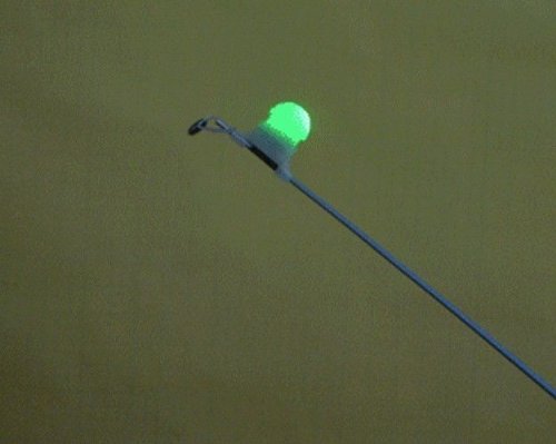 HOT!Sea Fishing LED rod tip night light strike alert glow stick bite alarm