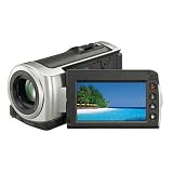 Sony DCR-SX40 Palm-Sized camcorder with 60X Optical Zoom (Silver)