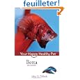 20 gallon aquarium Bettade John 20 gallon aquarium Bettade John