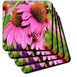A bee on a purple coneflower - Set Of 8 Coasters - Soft