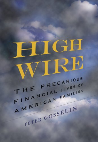 High Wire: The Precarious Financial Lives of American Families under Development & Growth in The Books Store