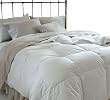 All Season Down Alternative Full/Queen Comforter, White