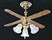 Mh721: Ceiling Fan W/3 Tulip Shades
