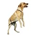 Click to Enlarge Image 41oKxRRi1AL. SL75 Guardian Gear No Jump Harness