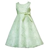 Girls Clothes Plus Size Spring Easter HONEYDEW Dress RARE EDITIONS 10.5-18.5