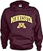 Minnesota Golden Gophers Kids/Youth Perennial Hooded Sweatshirt